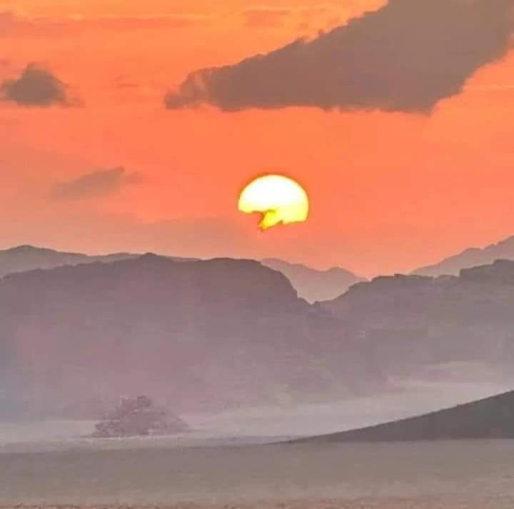 Bedouin Nature Travels Wadi Musa Exterior photo