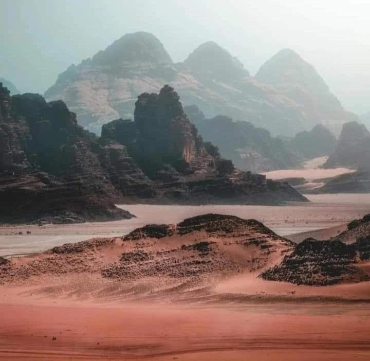 Bedouin Nature Travels Wadi Musa Exterior photo